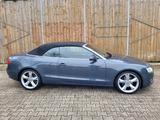 Audi A5 3.0 TDI S tronic quattro Cabriolet -