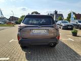 Subaru Forester 2.0ie AWD Aut. Exclusive/Panoramadach - Subaru Forester: Awd