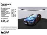 Skoda Octavia Combi 1.5 TSI First Edition Navi,AHK,LM1 - Skoda Gebrauchtwagen in Hildesheim