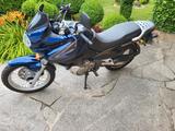 Suzuki XF 650 Freewind Endurotourer - SUZUKI XF 650 FREEWIND