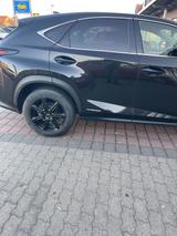 Lexus NX 300 300h E-FOUR Executive Line Executive Line - Lexus NX 300 Gebrauchtwagen