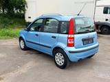 Fiat Panda - Fiat Panda aus 2005: Allradantrieb