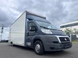 Fiat Ducato 3.0/ L5/Koffer/Camper/Verkaufswagen - Offers