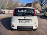 Fiat Panda MY24 1.0 Klima PDC Citypaket - Fiat Panda aus 2025