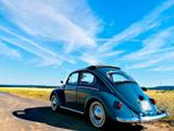 Volkswagen VW Käfer mit orig. Faltdach - Volkswagen: Faltdach