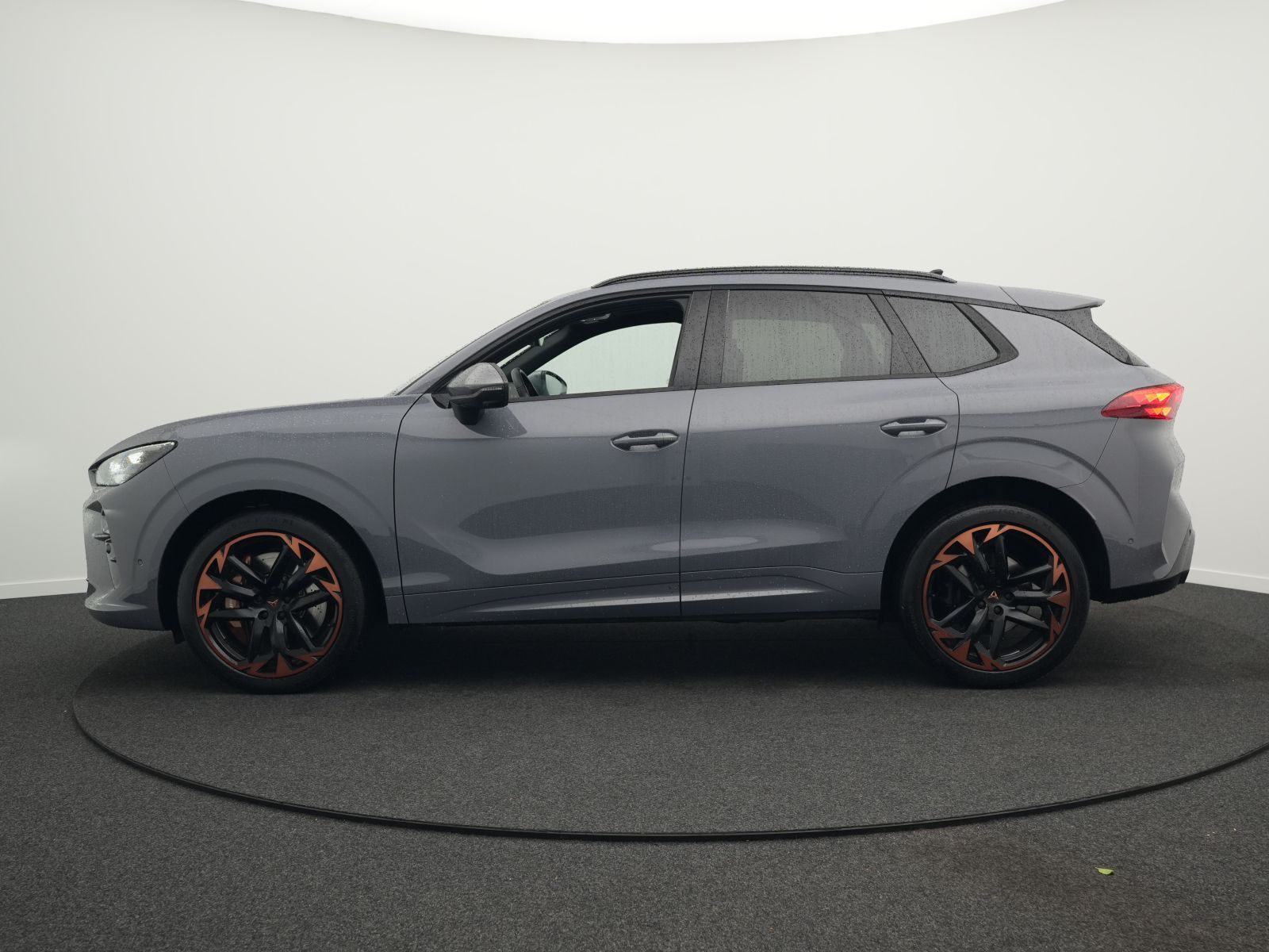 Cupra Terramar - Bild 11