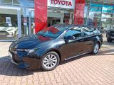 Toyota Corolla TS 2.0 Hybrid Business Edition - Toyota Corolla Tageszulassungen