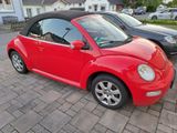 Volkswagen Beetle - Volkswagen Beetle aus 2004: Cabrio