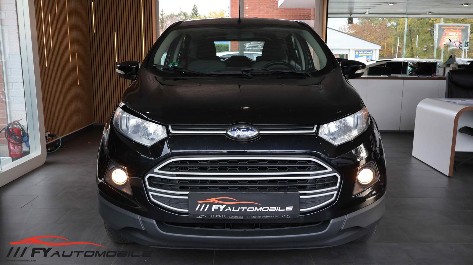 Ford EcoSport 2015 — photo 8