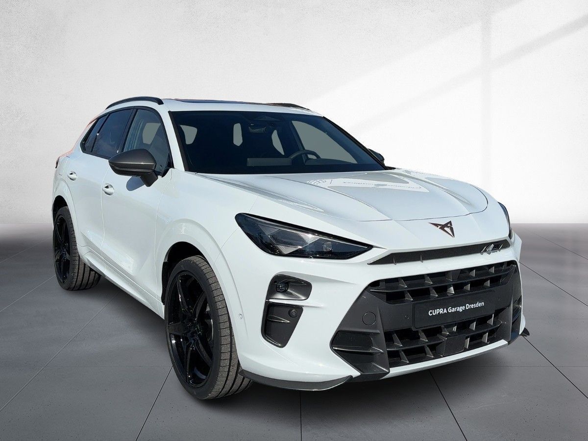 Cupra Terramar - Bild 5