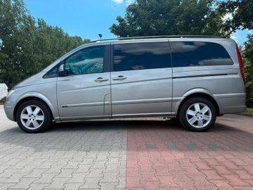 Mercedes Viano - 4