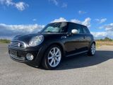 MINI Sondermodell 50 Camden/Xenon/H&K/Klima - MINI MINI: Camden
