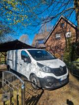 Renault Trafic L2H1 (Ideal für einen Campingausbau - Renault Trafic: I