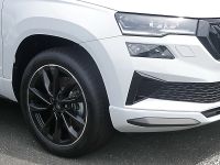 Skoda Karoq - Vorschau Bild 14
