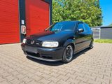 Volkswagen VW Polo 6n 1.6 16V GTI Original - Volkswagen Polo mit Benzin-Antrieb: 6n GTI