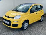 Fiat Panda 1.0 GSE Pandina Hybrid Dach schwarz - Fiat Panda Gebrauchtwagen in Aachen