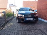 Audi Q3 2.0 TDI quattro S tronic 135kW design design - Audi Q3 mit Diesel-Antrieb: Design