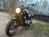 Honda CBF500A| top gepflegt | ABS| TÜV neu - Angebote