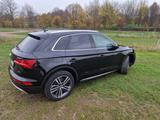 Audi Q5 50 TDI tiptronic quattro - - Audi Q5 Gebrauchtwagen in Köln