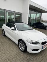 BMW 218d Cabrio in weiß mit Volllederausstattung - : V mit