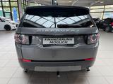 Land Rover Discovery Sport SE AWD - Land Rover Discovery in Duisburg
