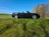 Audi a4 2,0 tdi absolut unverbastelt erst ... - Audi A4 mit Diesel-Antrieb: Cabrio