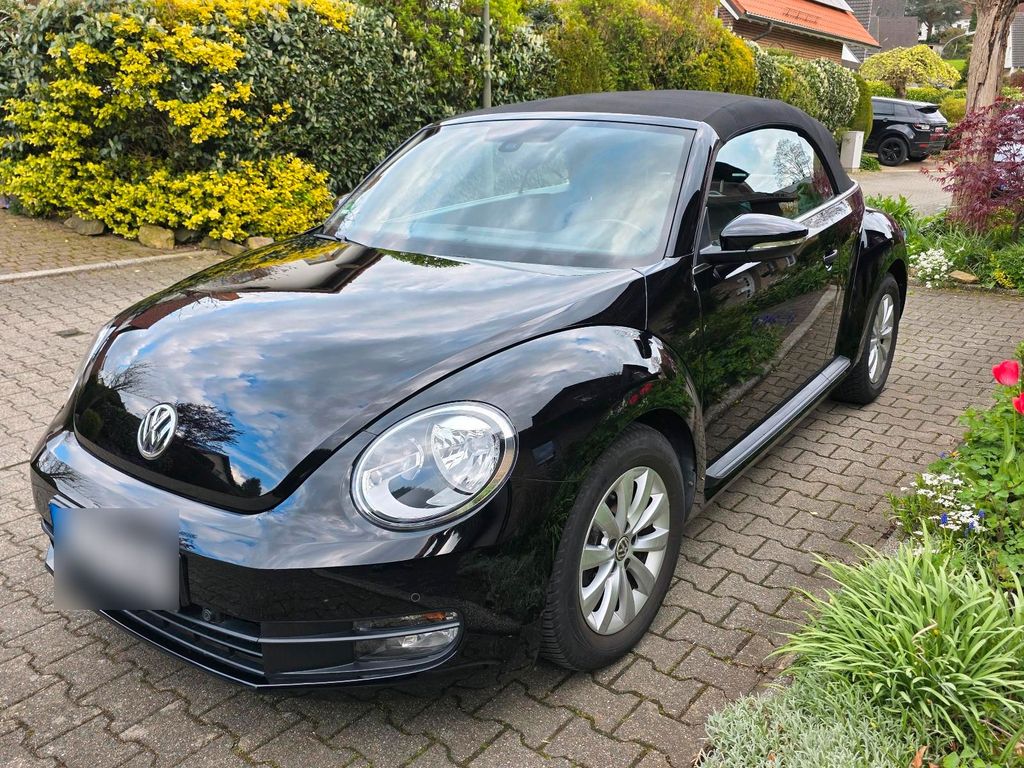 Image of Volkswagen Beetle