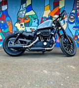 Harley-Davidson Sportster Iron 883 Bobber Umbau  - HARLEY-DAVIDSON 883