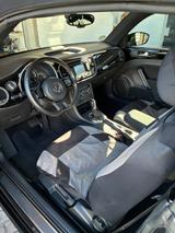 Volkswagen Beetle 1.4 TSI DSG CUP Cabriolet CUP - Volkswagen Beetle: Cup
