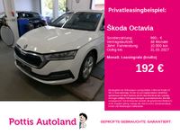 Skoda Octavia - Vorschau Bild 1