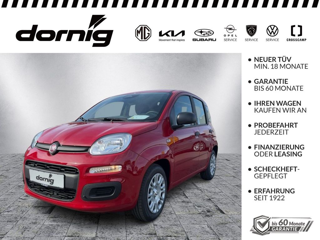 Image of Fiat Panda