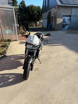 BMW F800R ABS Heizgriffe Touringtaschen - NAKED BIKE VON 751 BIS 1000 CCM