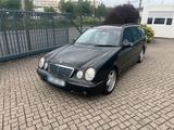 Mercedes-Benz Mercedes E55amg W210 Kombi Mopf TÜV - Mercedes-Benz E 55 AMG: Kombi