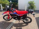 Honda CRF 300 L Rally - HONDA CRF300