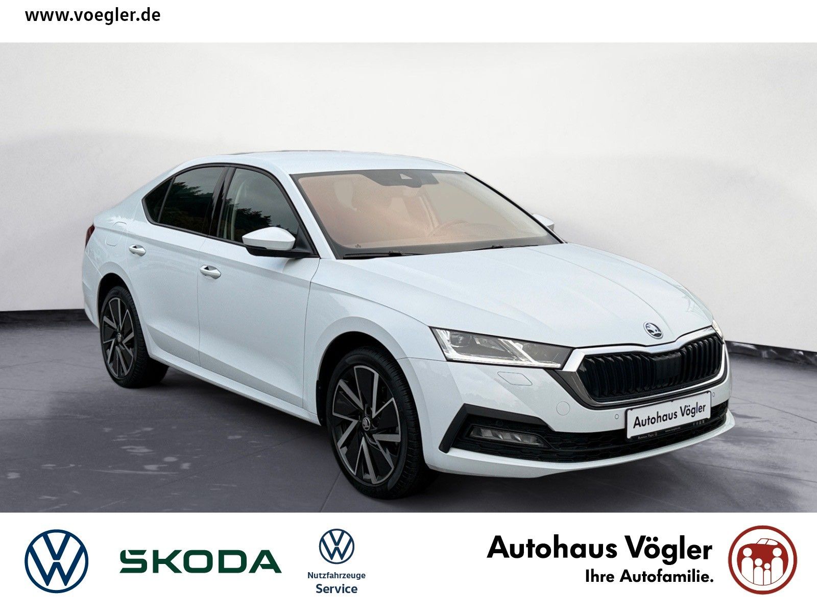 Octavia Plug-In-Hybrid AHK Navi Matrix Massage