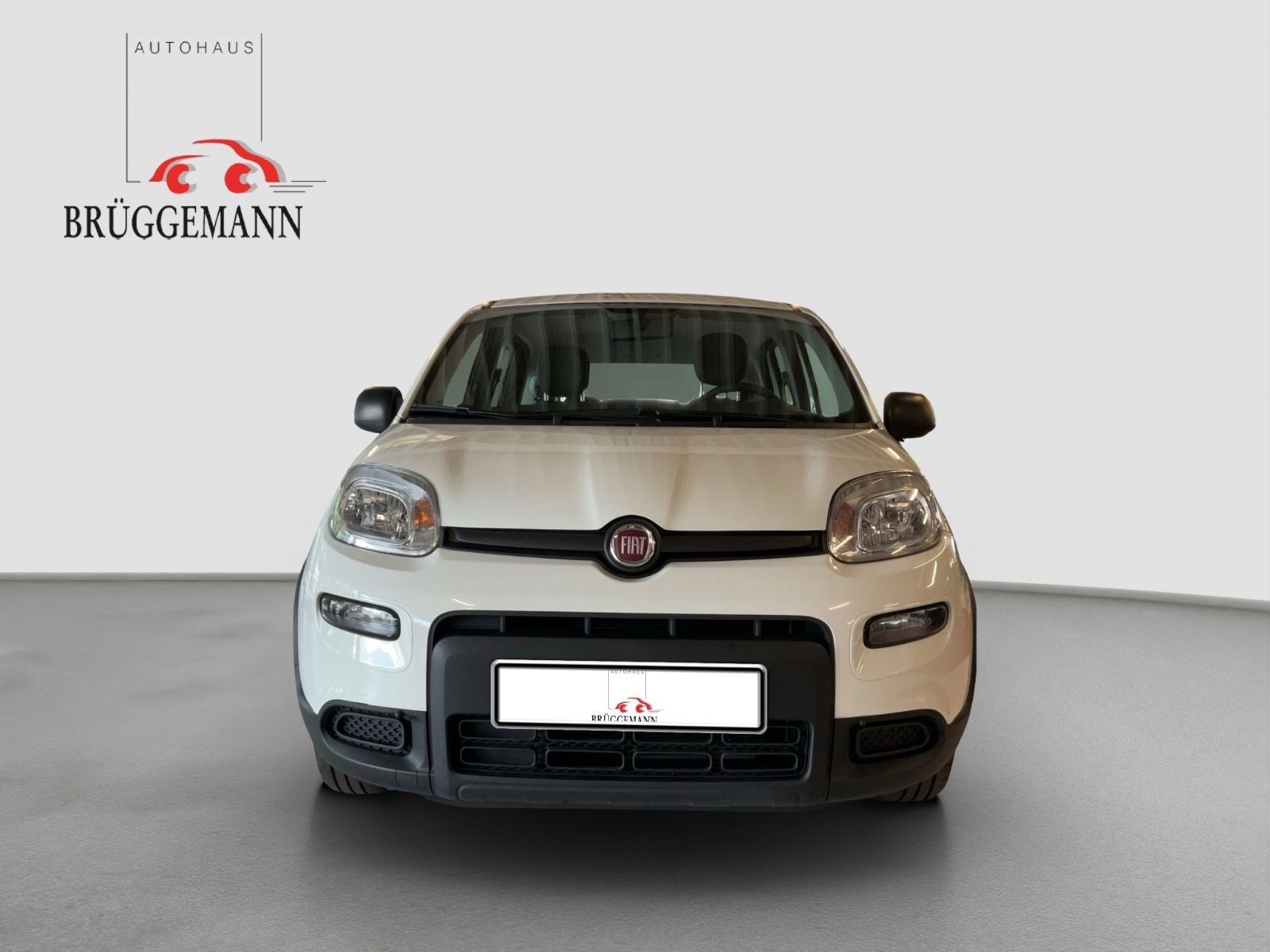 Fahrzeugabbildung Fiat Panda 1.0 GSE Hybrid + Techpaket