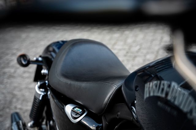 Fahrzeugabbildung Harley-Davidson XL883N IRON SPORTSTER - SCREAMIN´EAGLE -