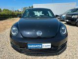 Volkswagen Beetle*1.4TSI*XEN*MEDIA*S-HEIZ*WINTERPAK*8FACH* - Volkswagen Beetle aus 2012