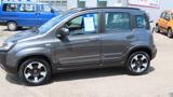 Fiat Panda City Cross 1,2 69 PS +Zahnriemen neu - gebrauchte Fiat Panda aus dem Jahr 2018