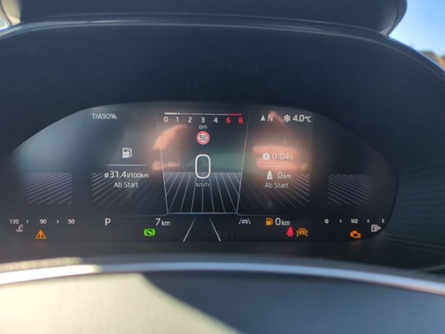 Fahrzeugabbildung SKODA Fabia 1.0 TSI DSG Tour WINTER PLUS LENKRADHZG
