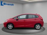 Honda Jazz Comfort 1.3 i-VTEC NAVI+EINPARK+SITZH+KLIMA - Honda Jazz: Si