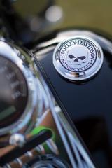 Harley-Davidson Fat Boy Thunderbike Hamminkeln/Melle custom  - HARLEY-DAVIDSON THUN