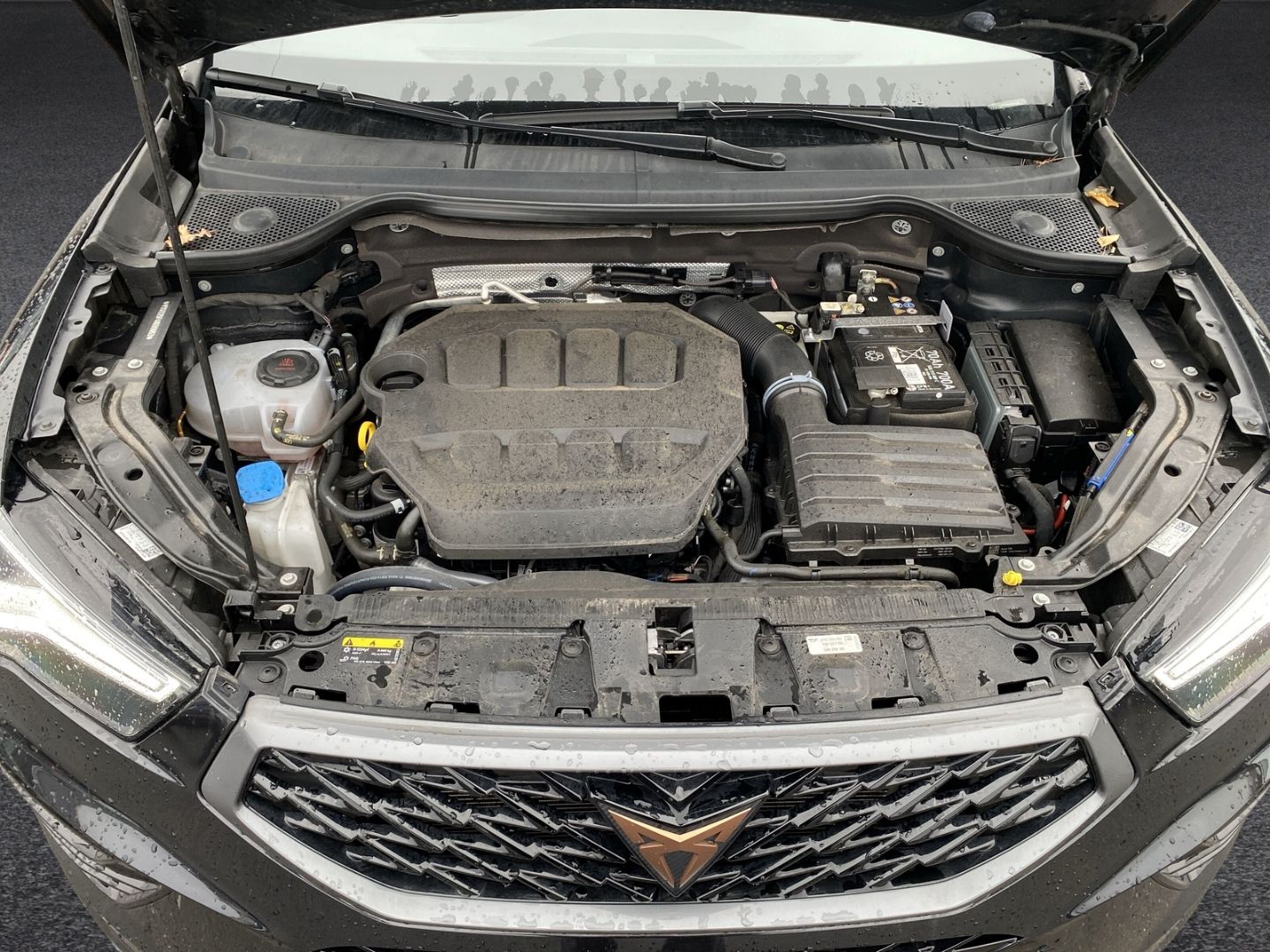 Fahrzeugabbildung CUPRA Ateca VZ 4Drive AD AHK-klappbar Navi Digitales C