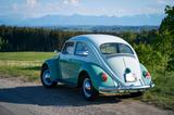 Volkswagen VW Käfer Dickholmer - Volkswagen 181 Benziner Gebrauchtwagen