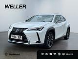 Lexus UX 250h Style Edition *LED*CarPlay*CAM*Spurhalte - Lexus UX Gebrauchtwagen