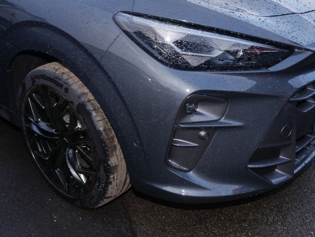 Cupra Terramar - Bild 13