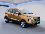 Ford EcoSport 1.0 EB Trend PDC+Winterpak+Klimaautom+B - Ford EcoSport Trend mit Benzin-Antrieb