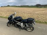Suzuki TL 1000S - Angebote entsprechen deinen Suchkriterien
