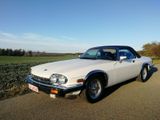 Jaguar XJS Convertible  V12 - Jaguar XJS: Cabrio, V12