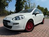 Fiat Punto Pop - Fiat Punto: Weiß